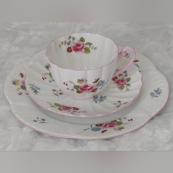 Shelley Other - Shelley England Rose and Red Daisy Fine Bone China Cup, Saucer, Cake Plate